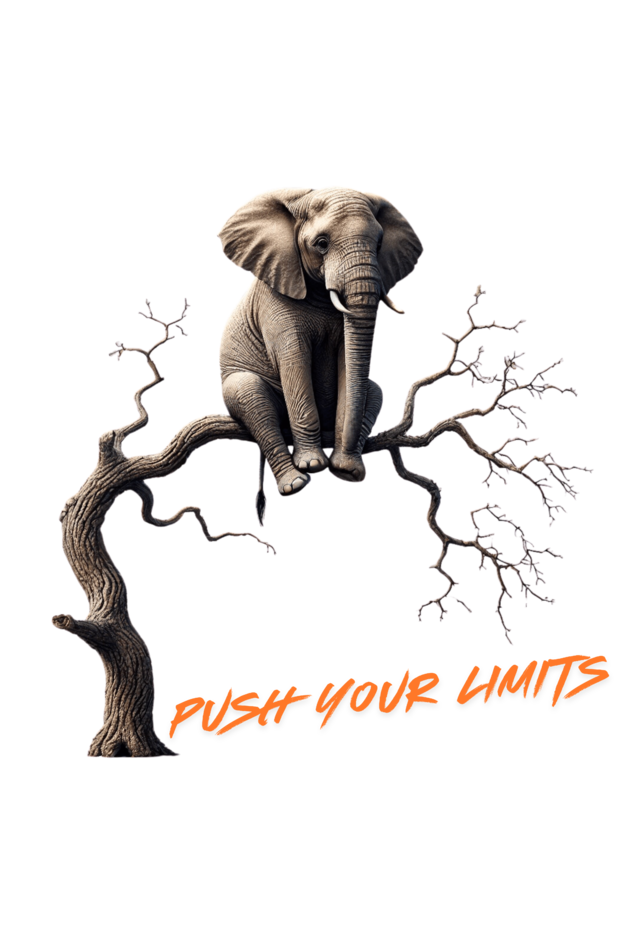 Push Your Limits